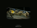 greyhound gallery